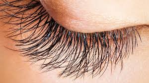 Cils longs et épais avec des remèdes naturels : 3 astuces gagnantes