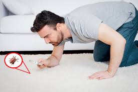 DIY anti-acariens naturel : le mélange super efficace à vaporiser sur le lit